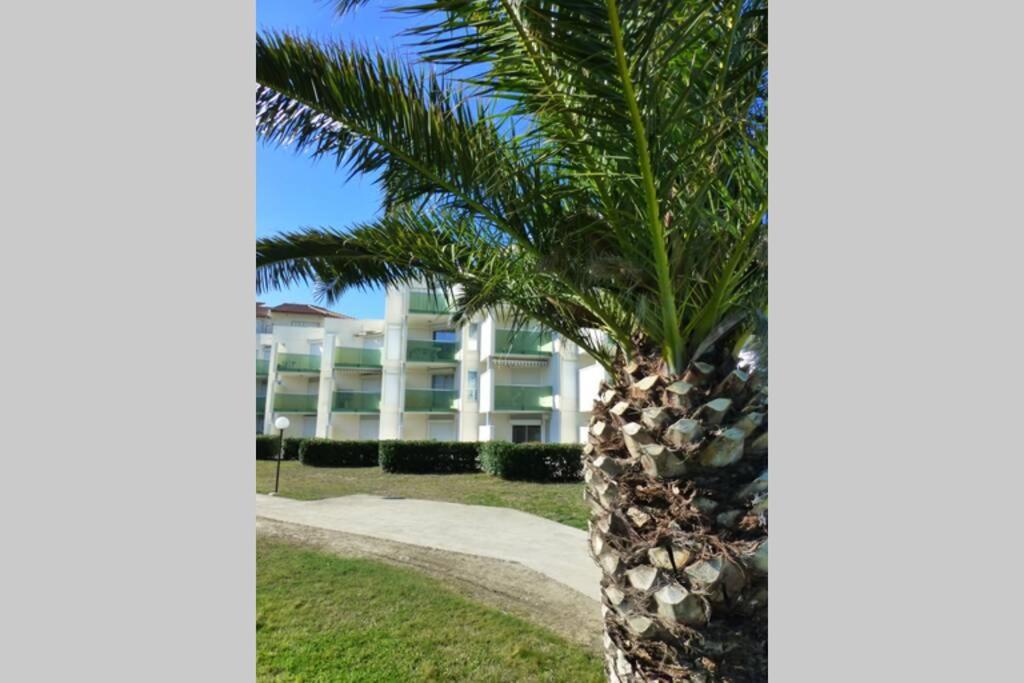 Les Goelettes - Appartement en RDC avec accès direct à la plage Saint-Cyprien (Pyrenees-Orientales) Exterior foto