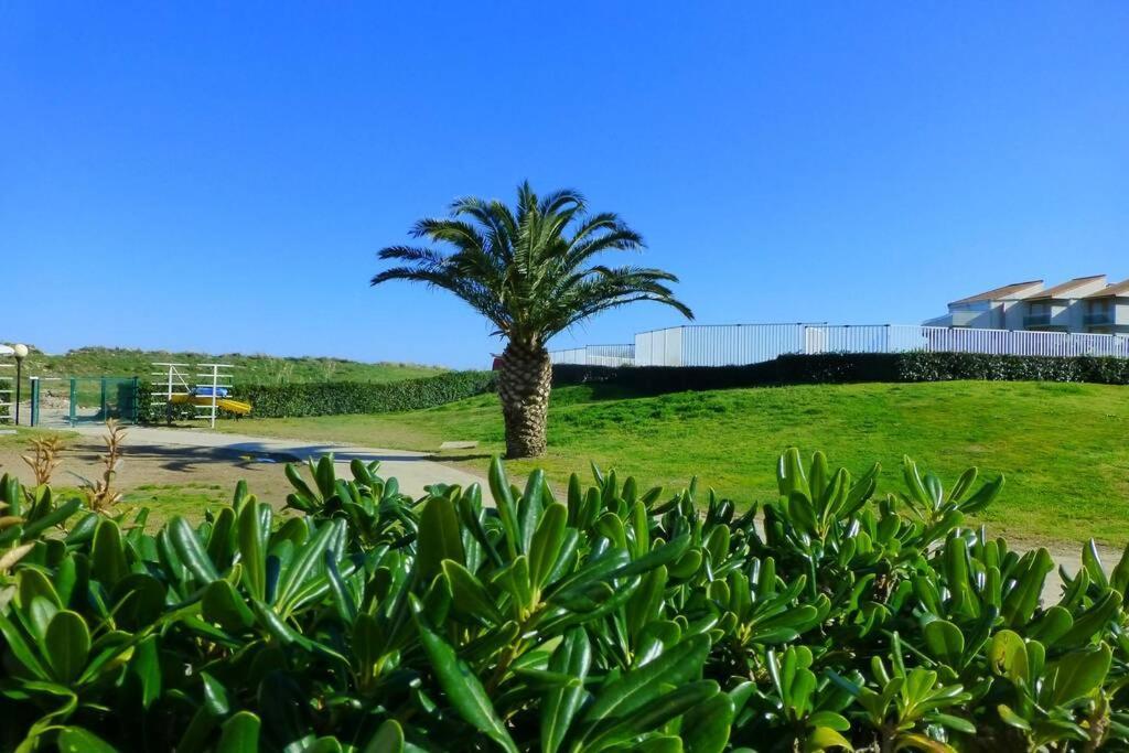 Les Goelettes - Appartement en RDC avec accès direct à la plage Saint-Cyprien (Pyrenees-Orientales) Exterior foto